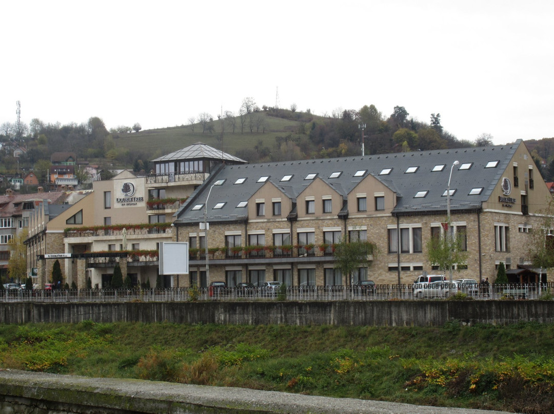 DoubleTree by Hilton Sighisoara - Cavaler主图