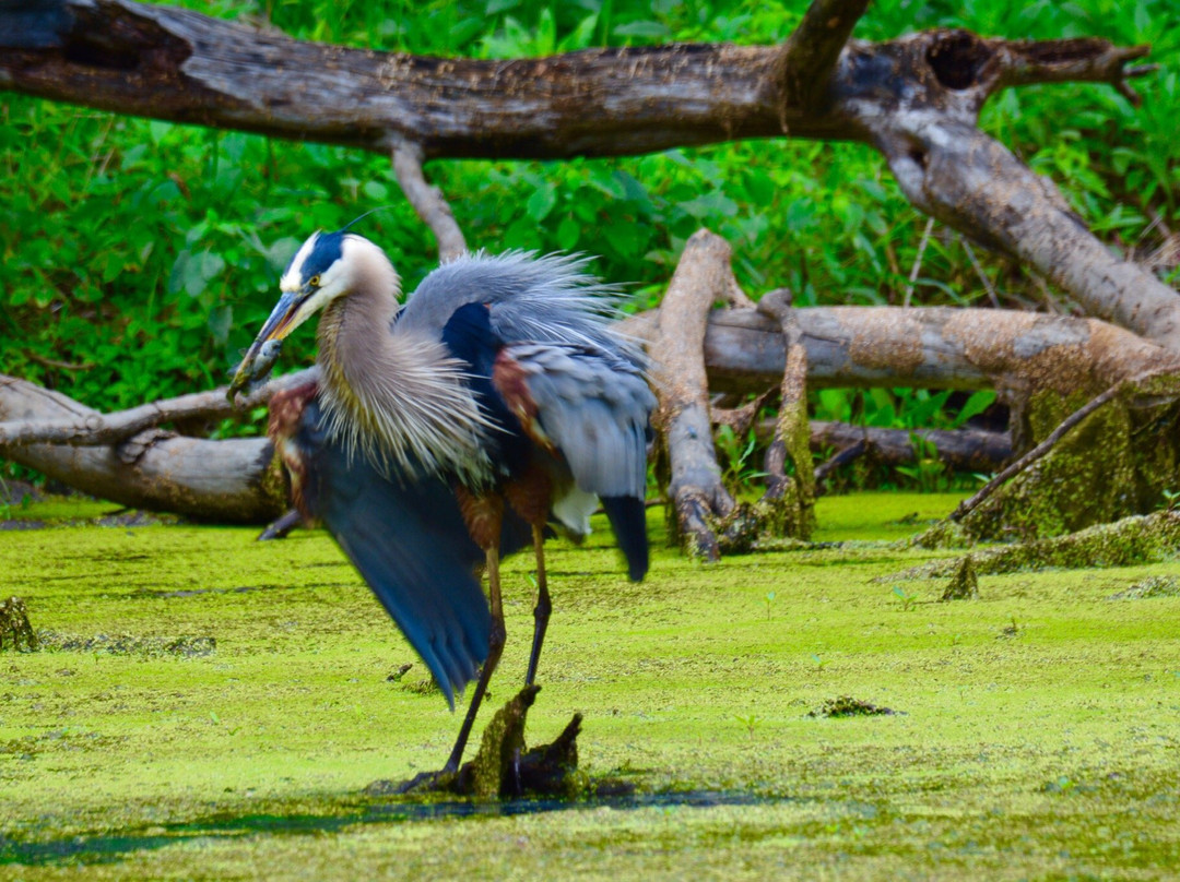Emily Traphagen Park-Powell必去景点