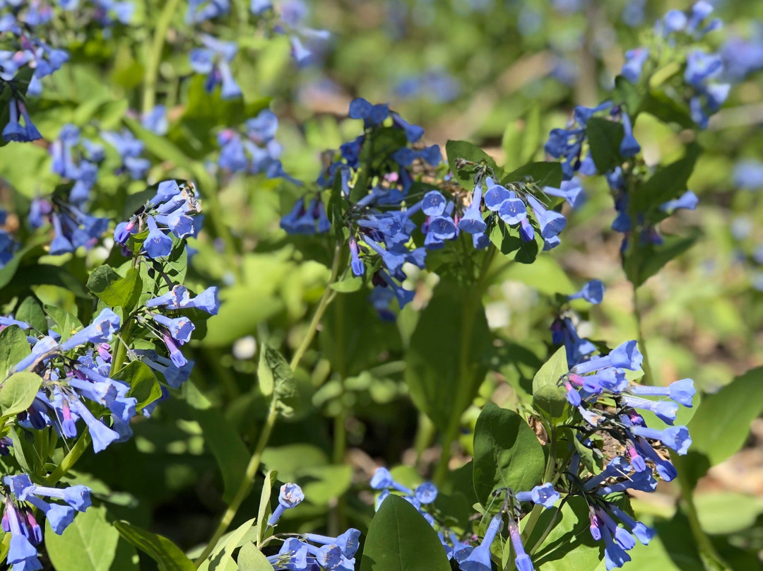 Carley State Park-Altura必去景点
