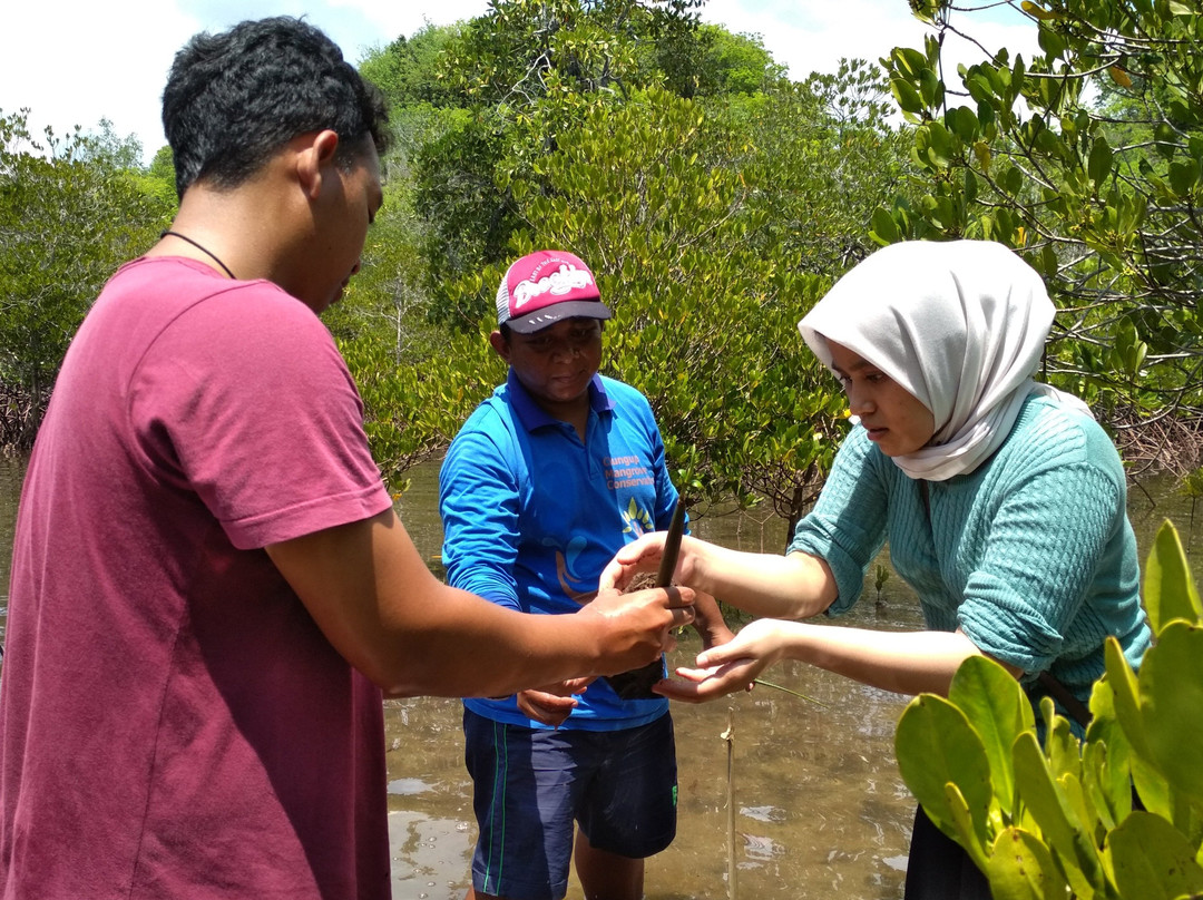 Kreol Javindo-玛琅必去景点