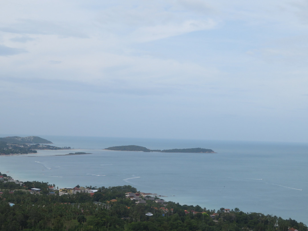 丛林俱乐部主图