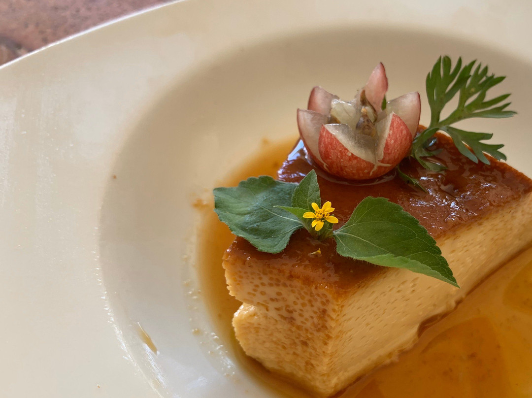 Gray Line Yucatan-梅里达必去景点