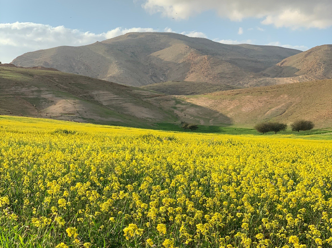 Jericho Resort Village主图