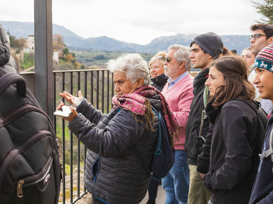 Discovering Andalucia Tours and Excursions-塞维利亚必去景点