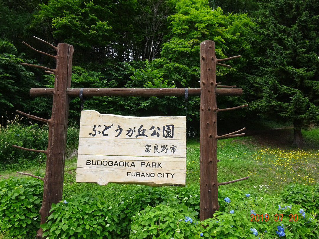 Furano Budogaoka Park-富良野市必去景点