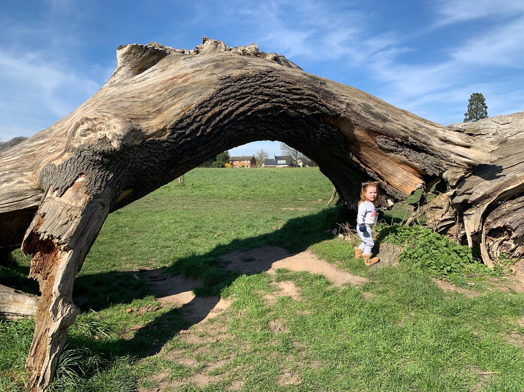 Catton Park景点图片