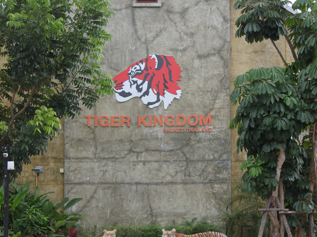 Tiger Kingdom Phuket-卡图必去景点