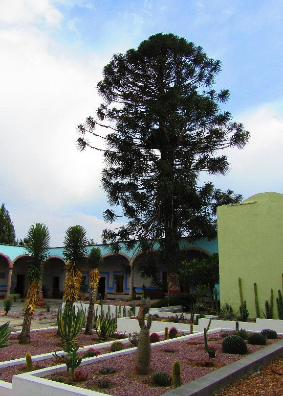 Museo de la Insugencia-Pabellon de Hidalgo必去景点