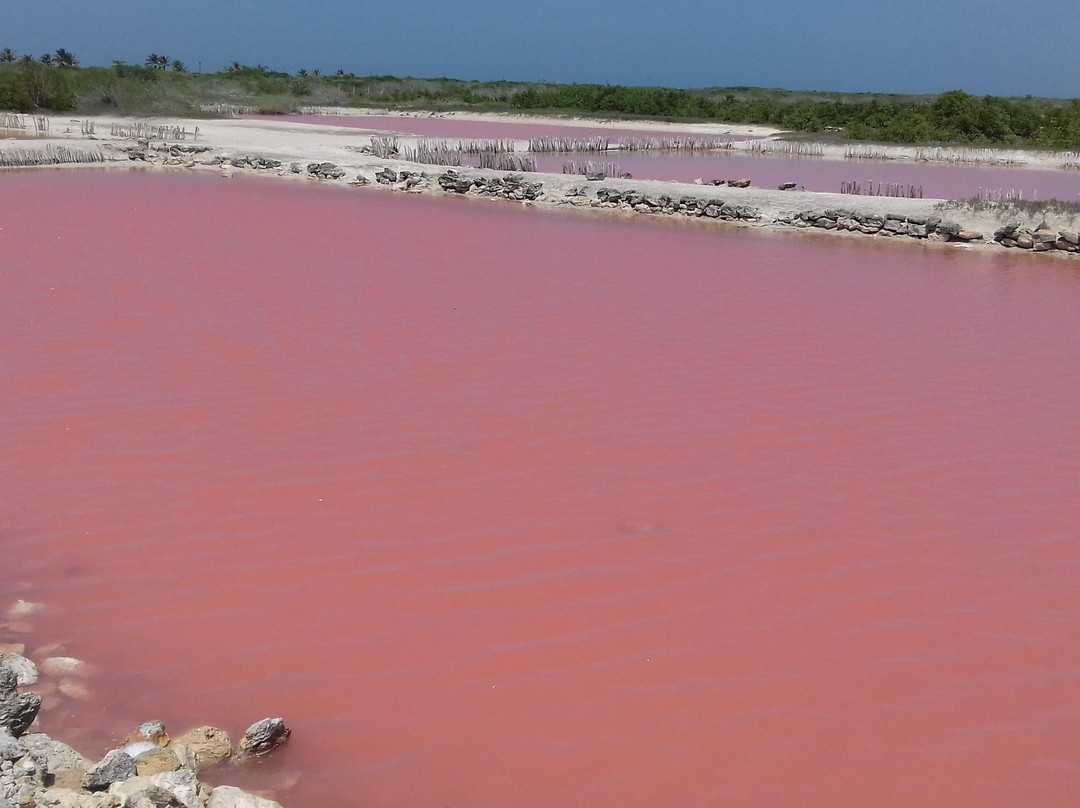 Transporte y Tours Viajes Crismatour-梅里达必去景点