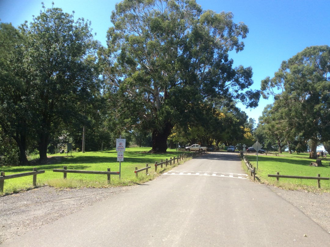 Cowwarr Weir-Cowwarr必去景点