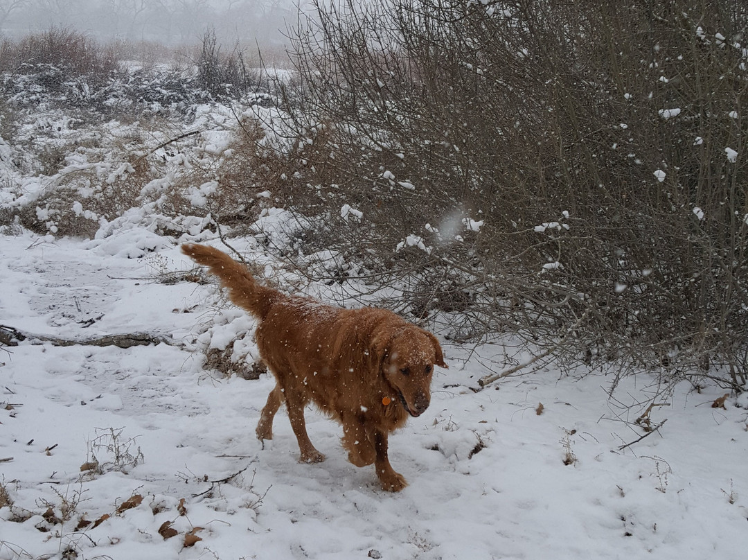 Willow Creek Trail-Rio Rancho必去景点