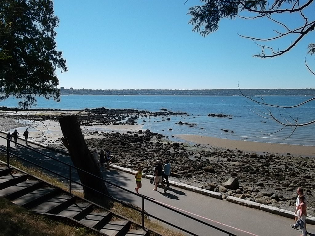 Capilano River Regional Park-北温哥华必去景点