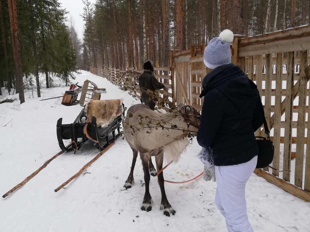 Sirmakko Reindeer Farm-罗瓦涅米必去景点