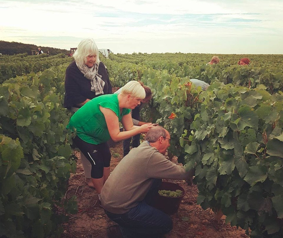 Rendez-Vous dans les Vignes-Chancay必去景点