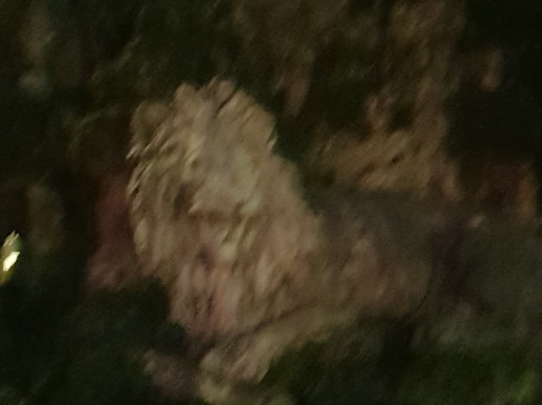 Statua di Giuseppe Garibaldi-帕维亚必去景点