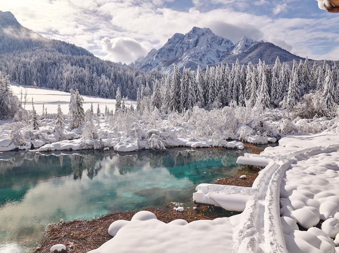 Zelenci Nature Reserve景点图片