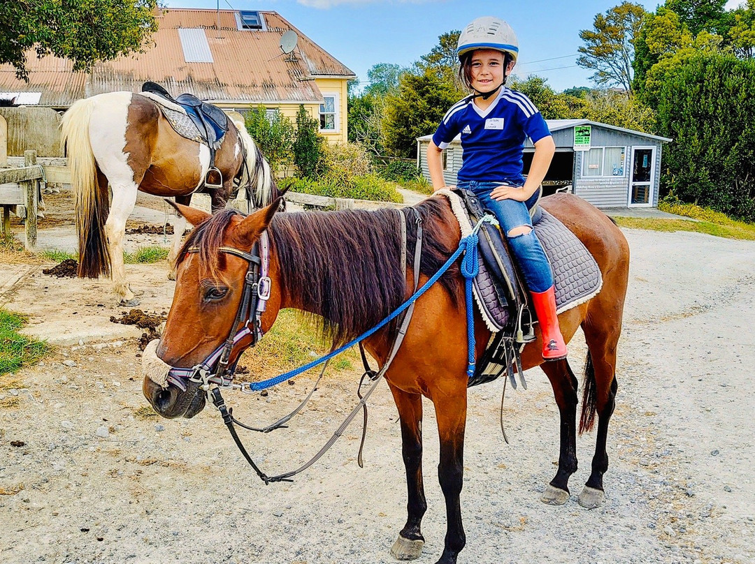 Horse Riding Warkworth-瓦卡沃夫必去景点