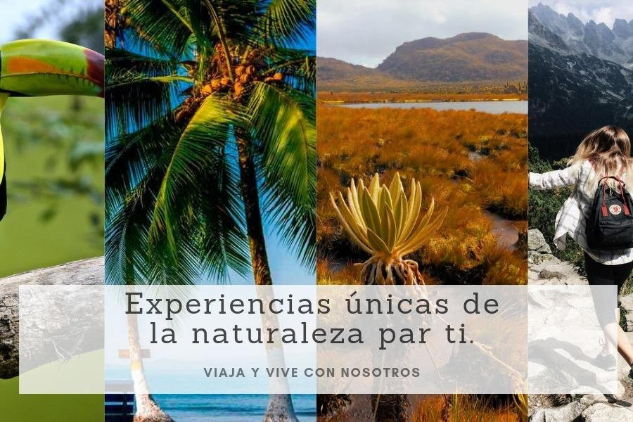 Orpendola Tropical-Quibdo必去景点