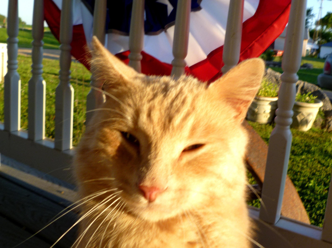 Sutton Ridge Farm-Jordan必去景点