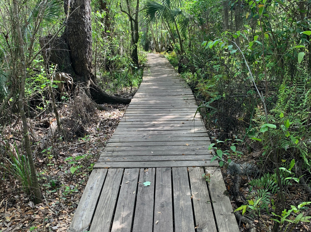Little Manatee River State Park-Wimauma必去景点