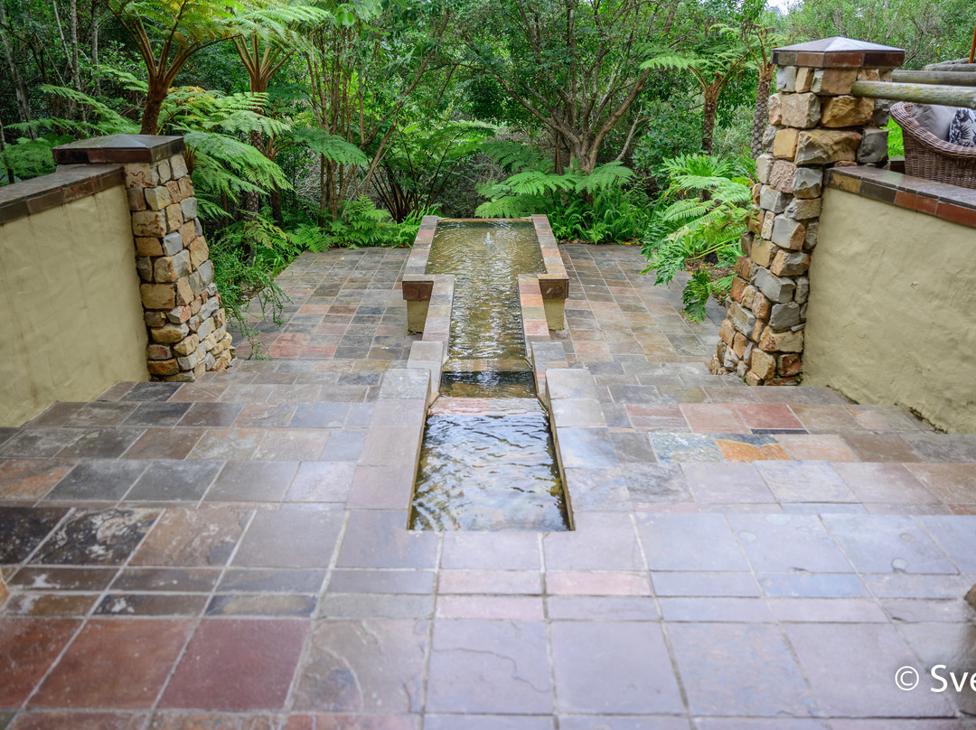 阿尔树杆洛奇主图