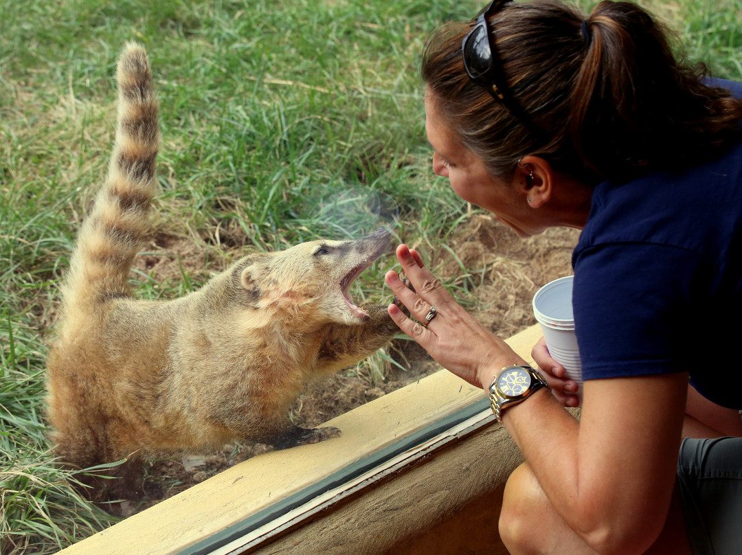 Elmwood Park Zoo-Norristown必去景点