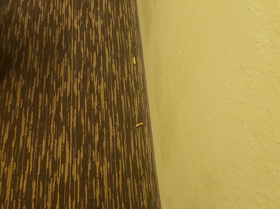 哥伦比亚港威大道美国长住酒店主图