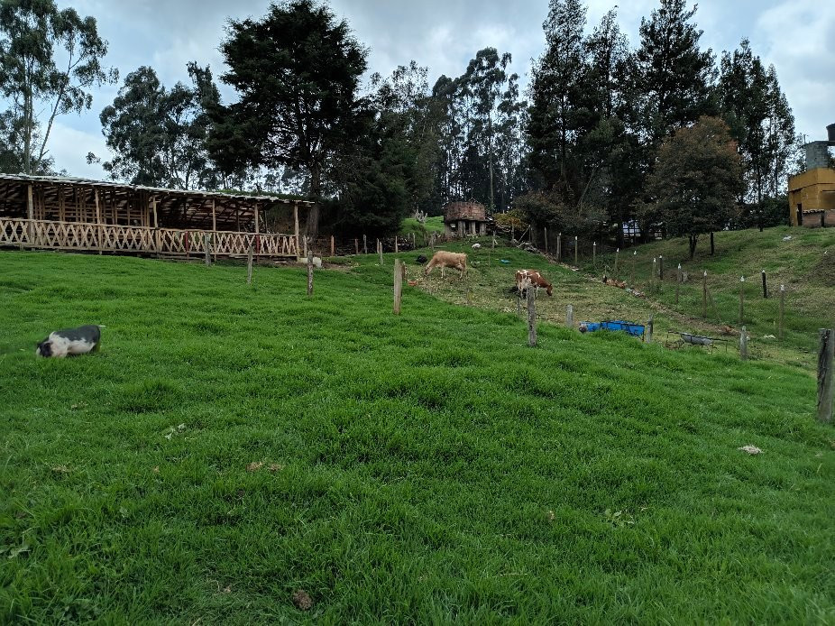 Finca Hotel Riobamba主图