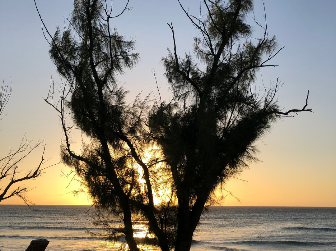 Tradewind Guest Suites on Salt Cay主图