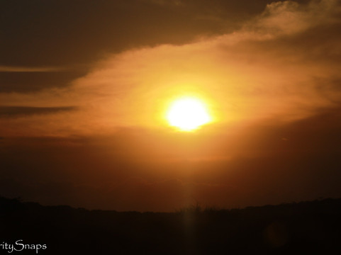 Unscripted safaris-内罗毕必去景点