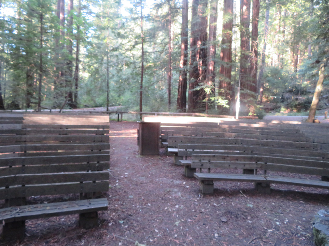 Portola Redwoods State Park-La Honda必去景点