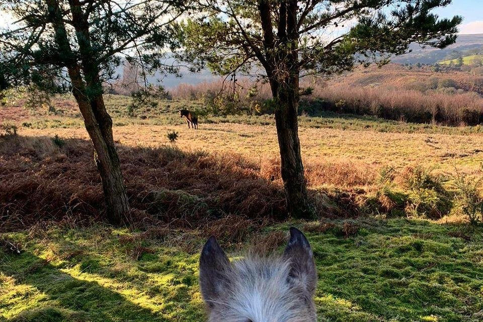 Exmoor Experience景点图片