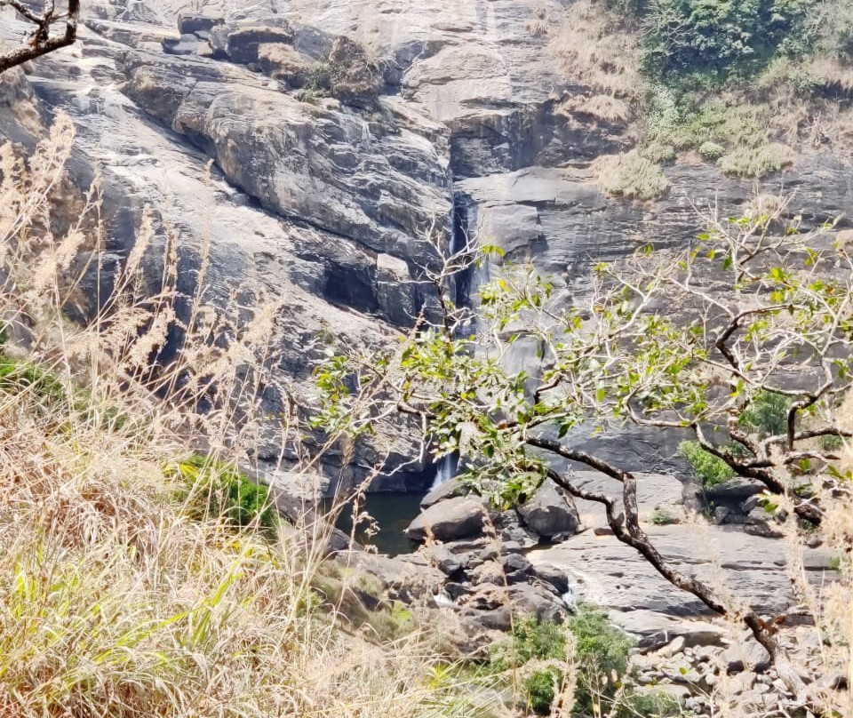 Mallalli Falls景点图片