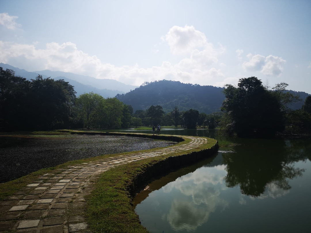 Taman Tasik Taiping景点图片