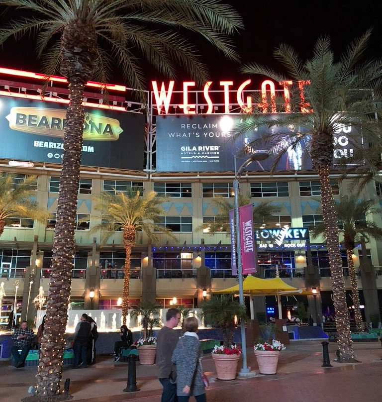 Desert Diamond Arena-格兰岱尔必去景点