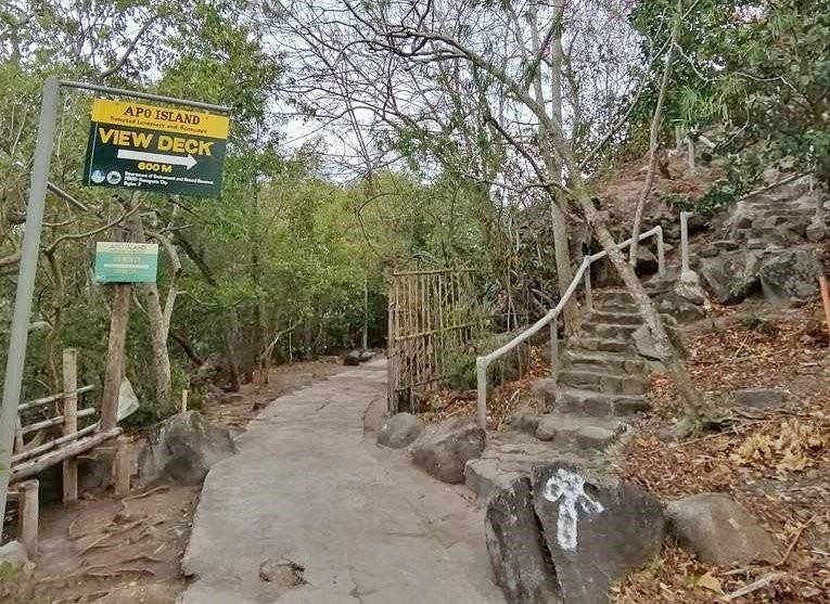 Apo Island View Deck景点图片