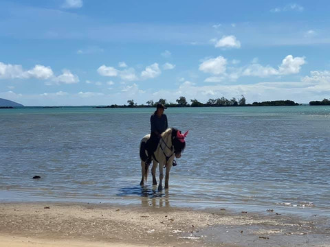 Les Calèches du Paradis-大湾必去景点