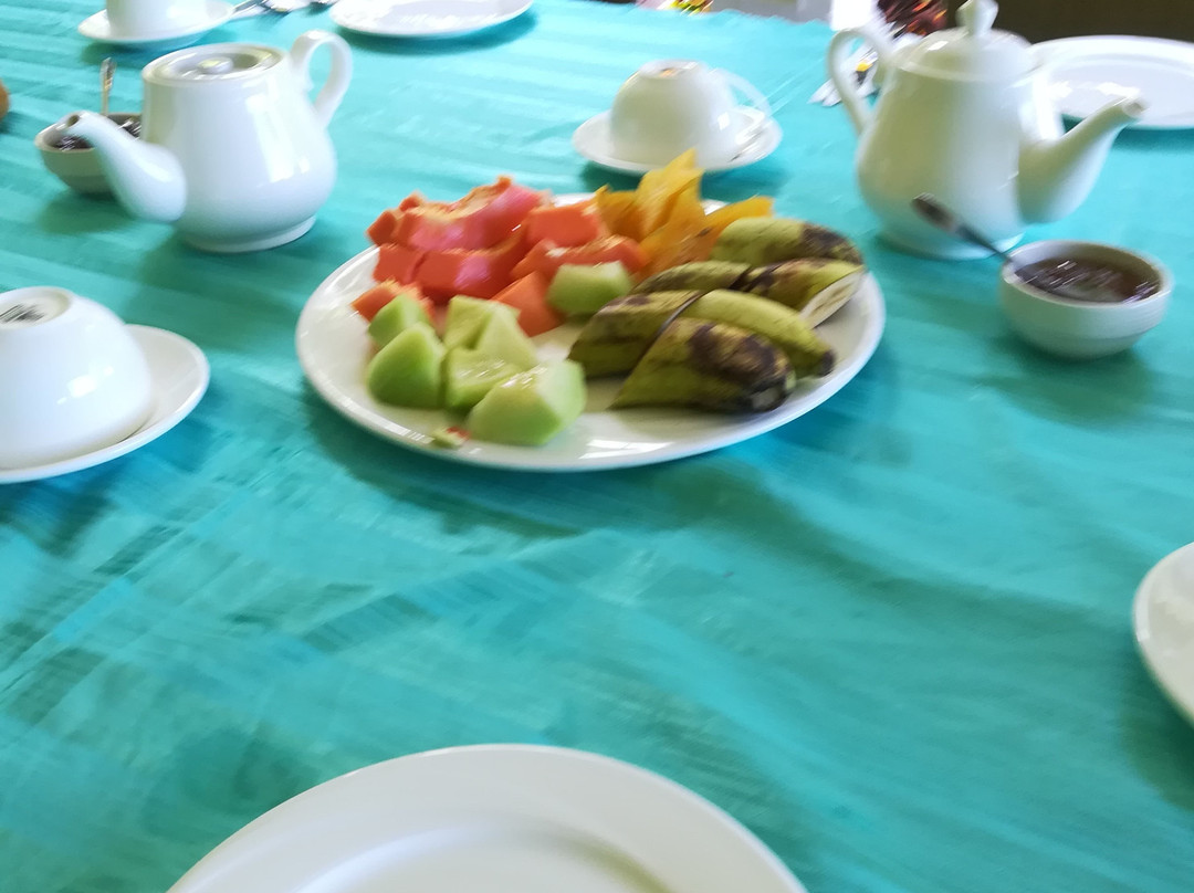 Villa Hortensia主图