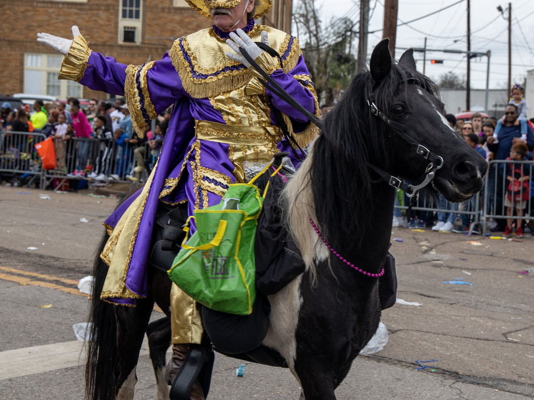 Mardi Gras Trail-莫比尔必去景点