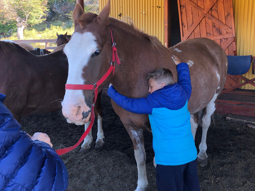La Usina-埃尔卡拉法特必去景点