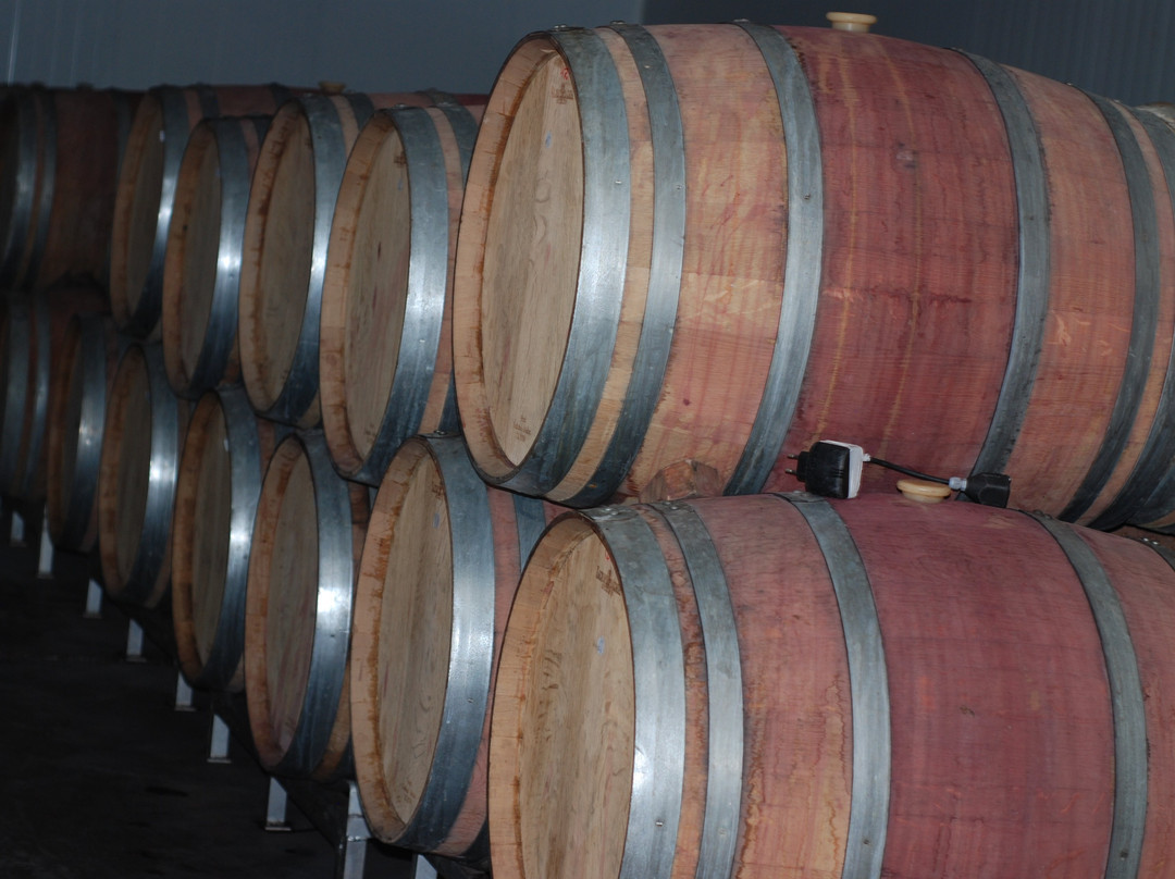 Ramat Negev Winery-Kadesh Barnea必去景点