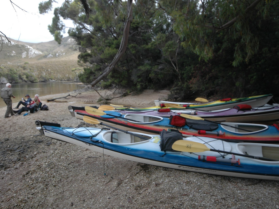 Roaring 40s Kayaking景点图片