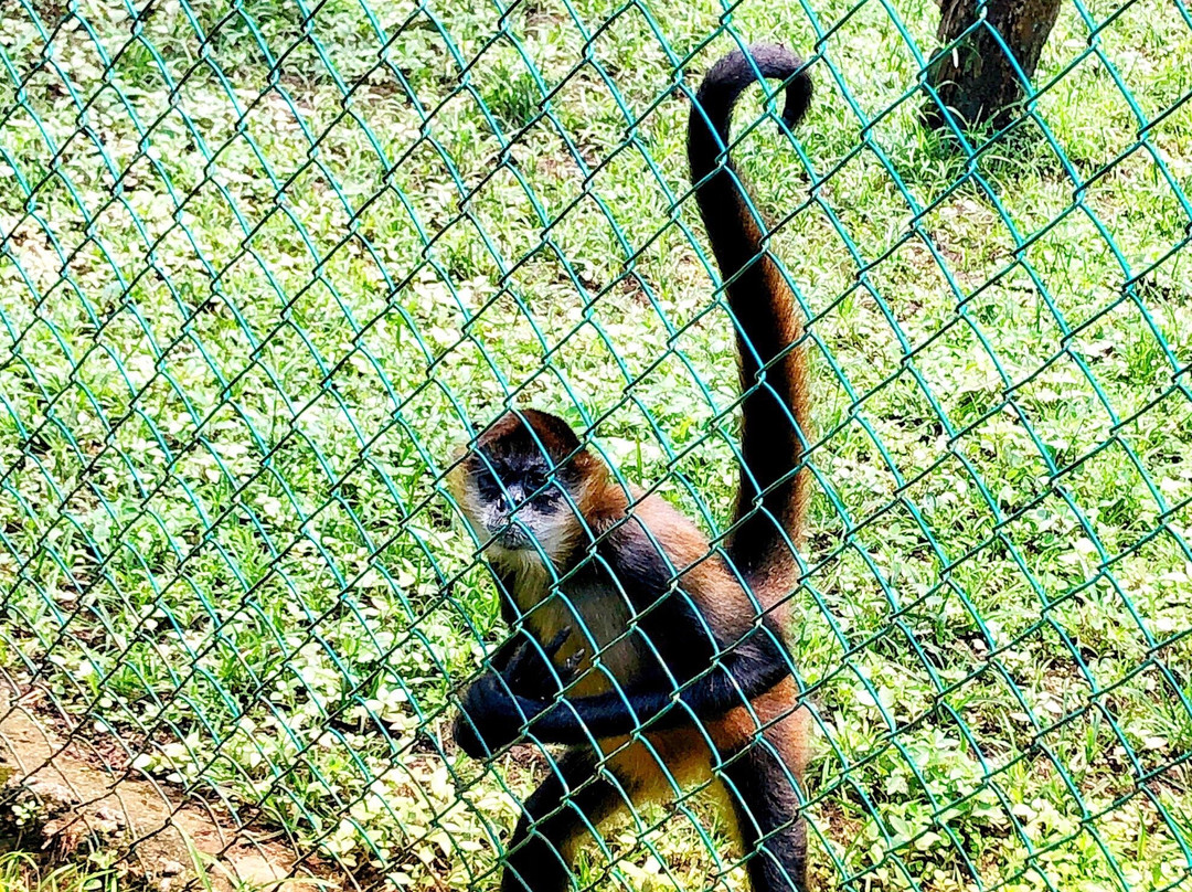 Tree of Life Wildlife Rescue Center and Botanical Gardens-卡维塔必去景点