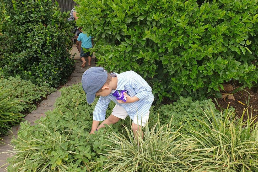 Randpark Golf Club-兰德堡必去景点