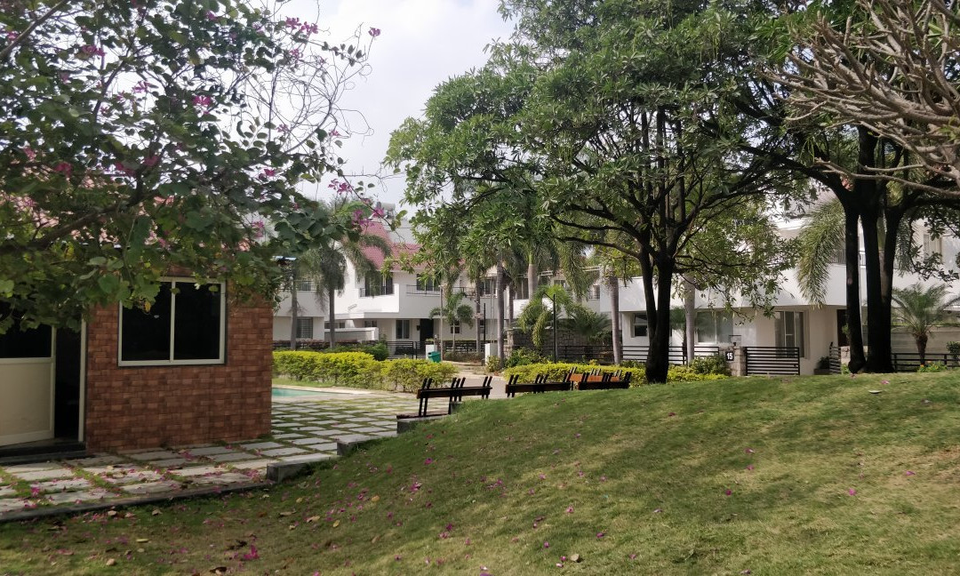 Summer Green Resort主图