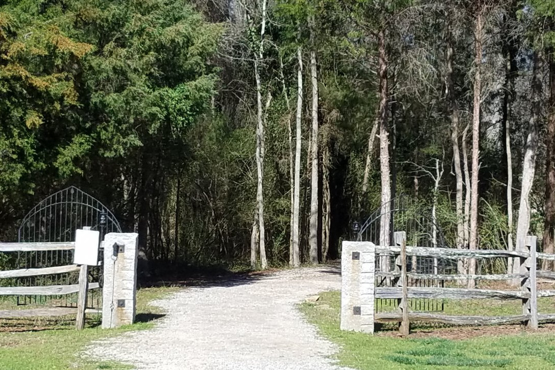 Latta Plantation Nature Center & Preserve景点图片