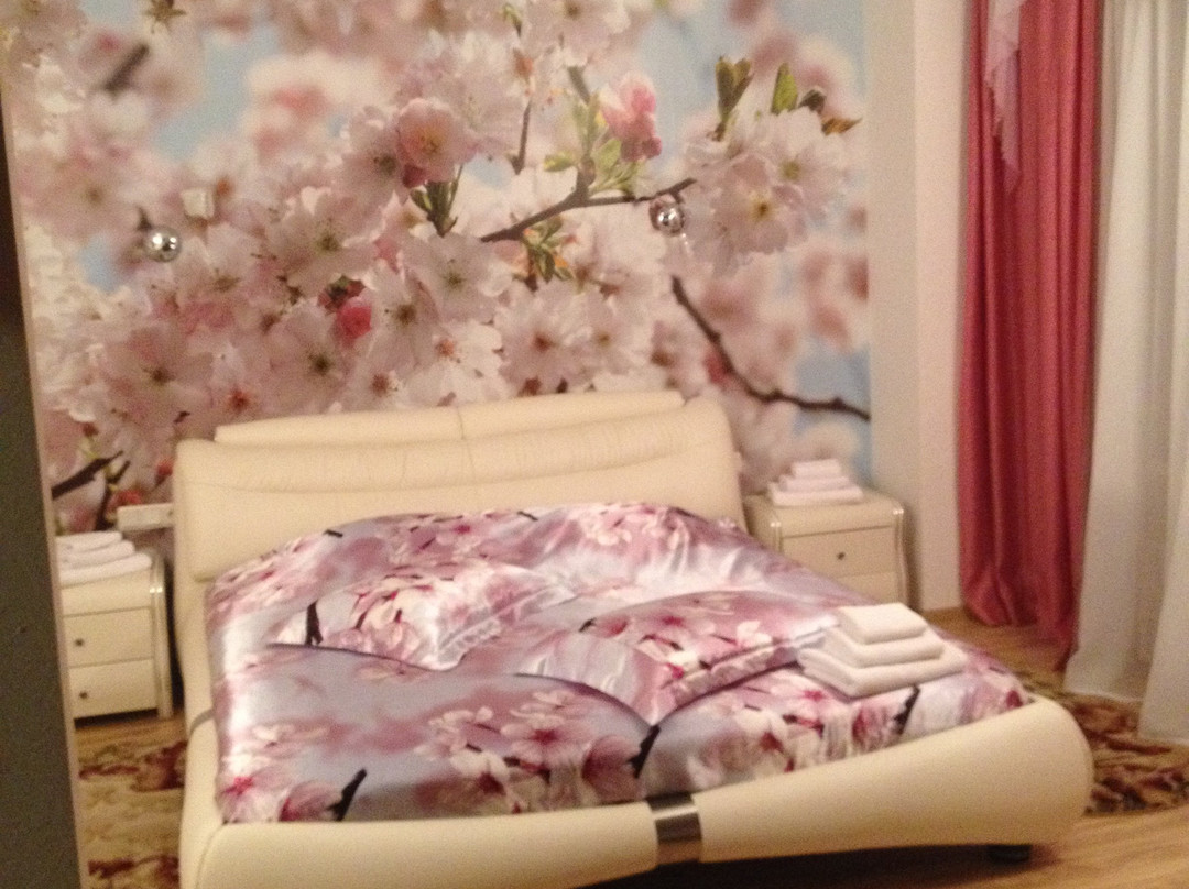 Petrovsky Hotel主图