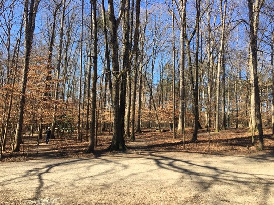 Brook Run Park-Dunwoody必去景点