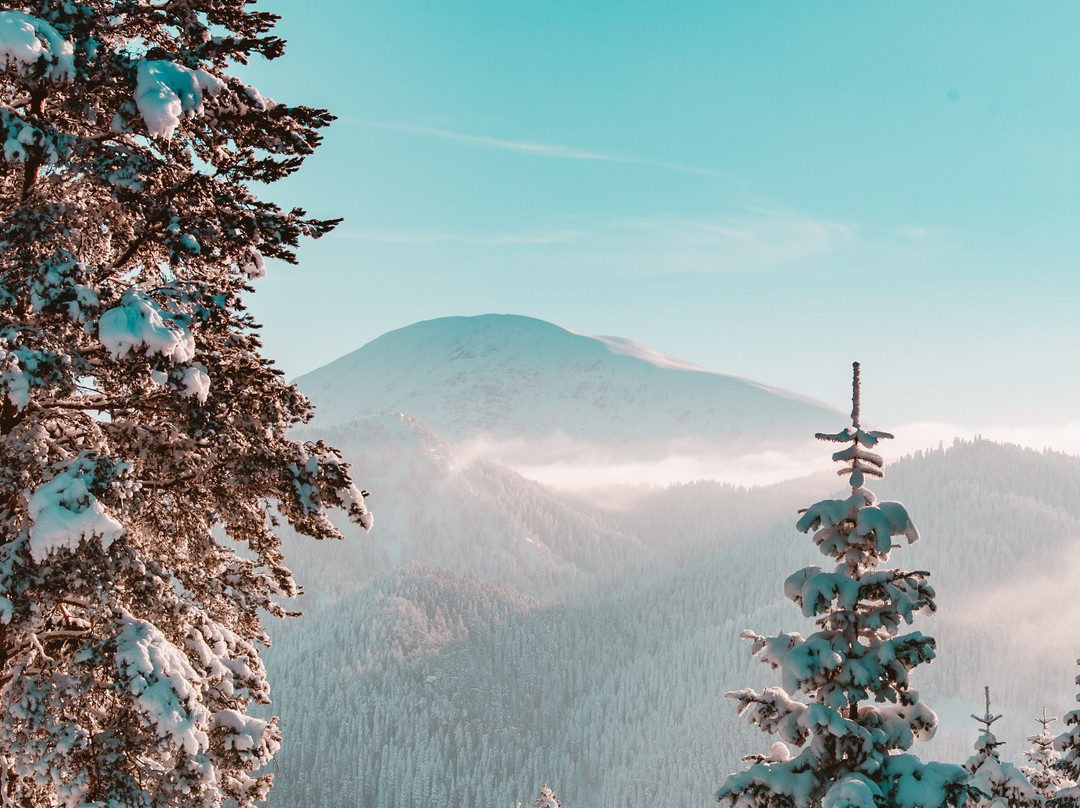 Ilgaz Mountain National Park景点图片