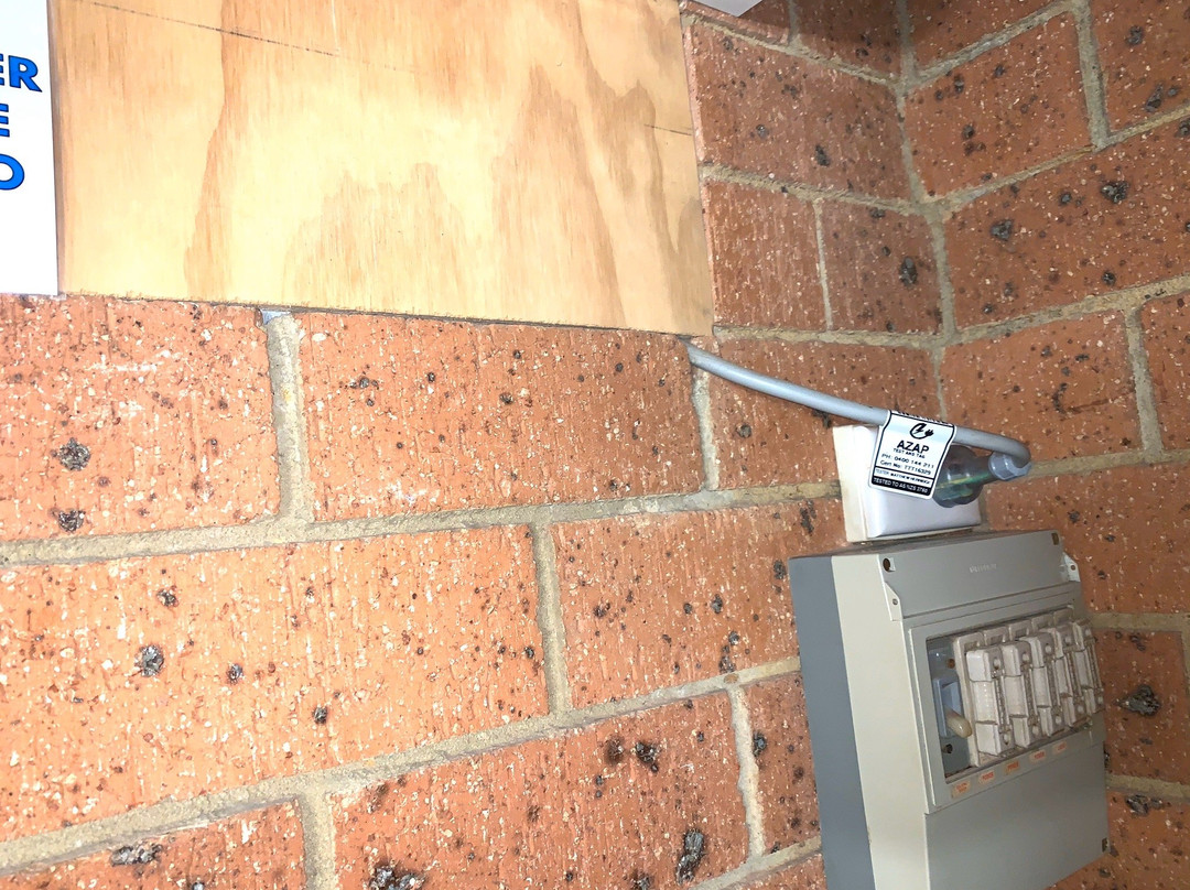 Alexandra Motor Inn主图